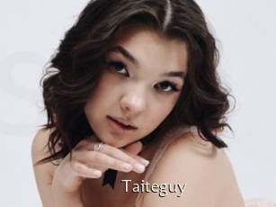 Taiteguy