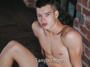 Tambertegen