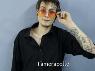 Tamerapollo