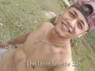 The_little_bruette_228
