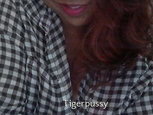 Tigerpussy