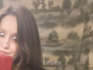 Tinamit