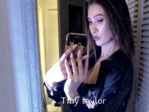 Tiny_taylor