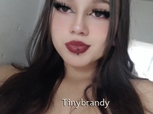 Tinybrandy