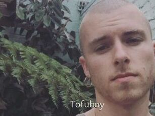 Tofu_boy