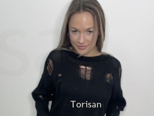 Torisan