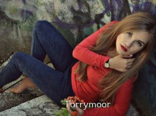 Torrymoor