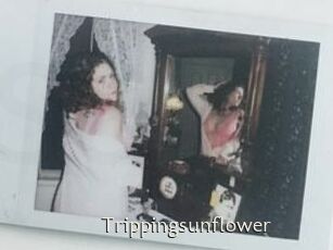 Trippingsunflower