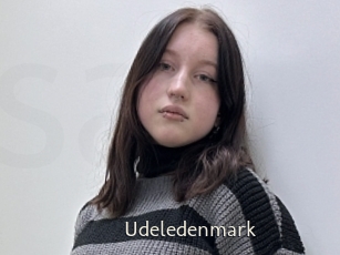 Udeledenmark