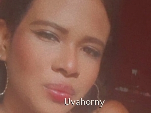 Uvahorny