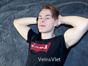 VeinsViet