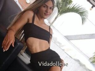 Vidadollche
