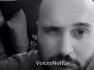 VoicesNoHue