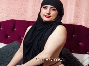 Vanezarosa