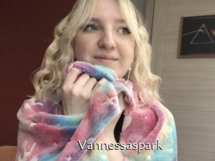Vannessaspark