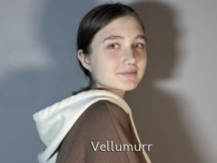 Vellumurr