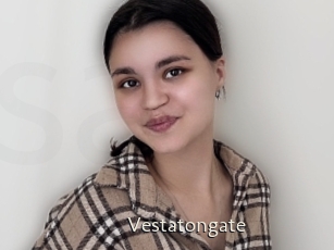 Vestatongate