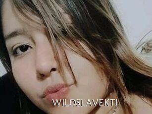 WILDSLAVEKTI