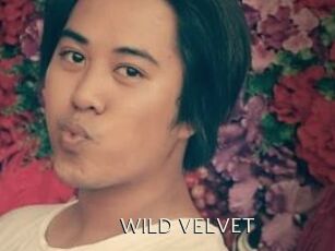WILD_VELVET
