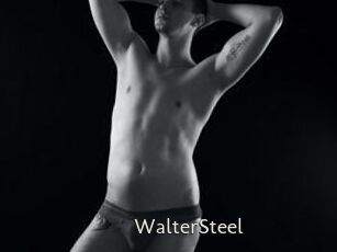 WalterSteel