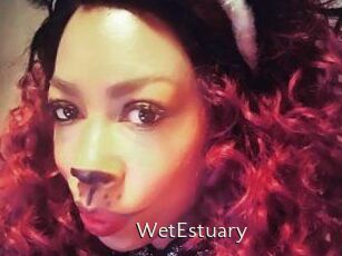 WetEstuary