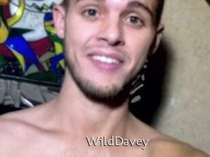 WildDavey