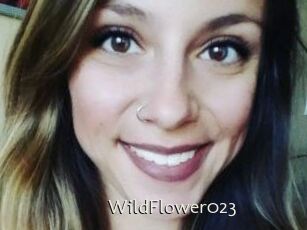 WildFlower023