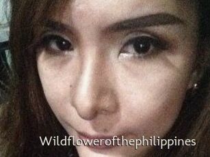 Wildflowerofthephilippines