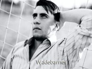 Wadebarnes