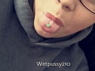 Wetpussy210