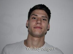 Whitey_bulgerr