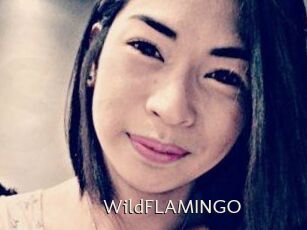 WildFLAMINGO