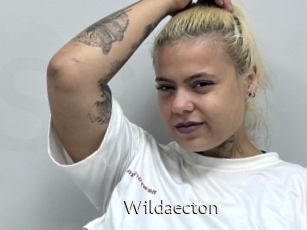 Wildaecton