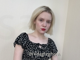 Wildagleghorn