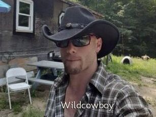 Wildcowboy