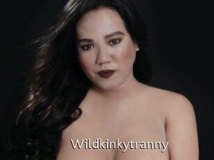 Wildkinkytranny