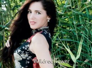 Wildredflower