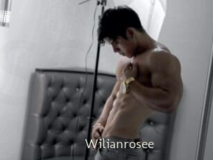 Wilianrosee