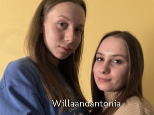 Willaandantonia