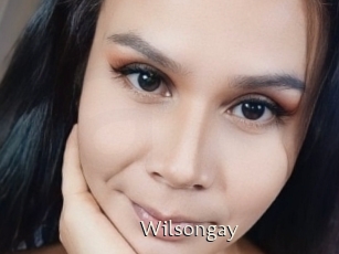 Wilsongay