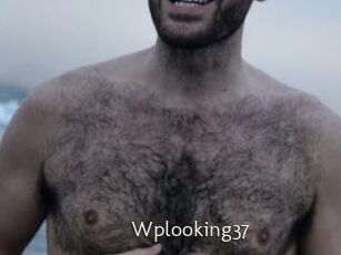 Wplooking37