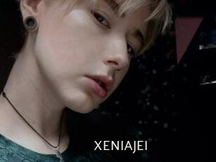 XENIA_JEI