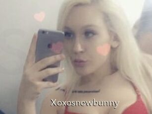 Xoxosnowbunny