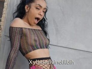 Xyliniadivinelilbih