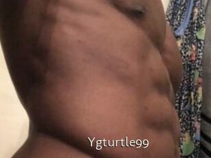 Ygturtle99