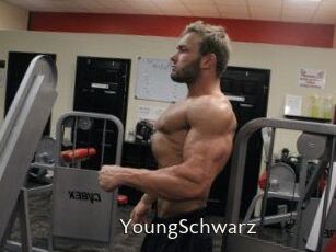 YoungSchwarz