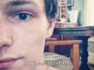 Youngbudstud
