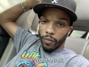YourMrBull