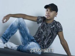 ZEUSHOTT