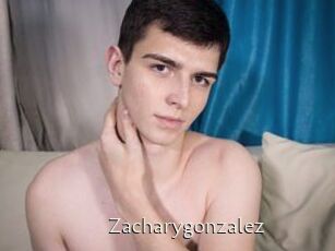 Zacharygonzalez